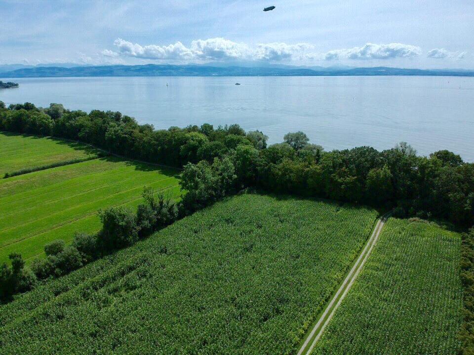 Wohlfuehlloft Seekretzer Mit Privatem Seezugang FDH Dış mekan fotoğraf